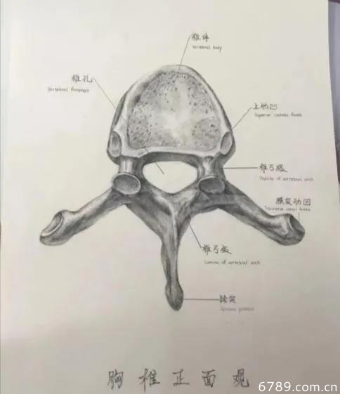 山東力明科技職業(yè)學(xué)院