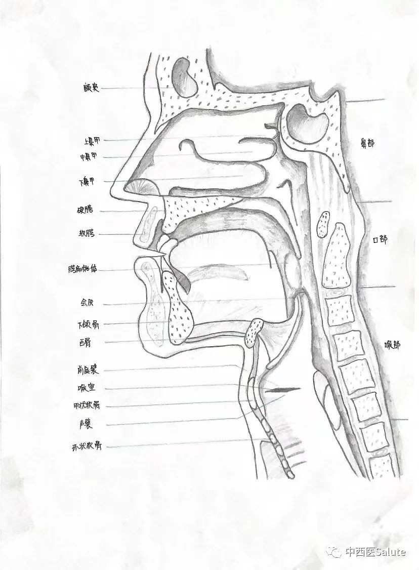 山東力明科技職業(yè)學(xué)院