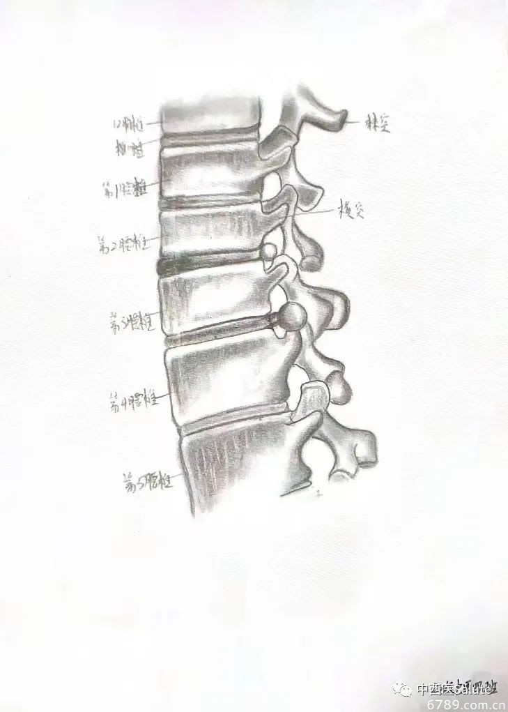 山東力明科技職業(yè)學(xué)院