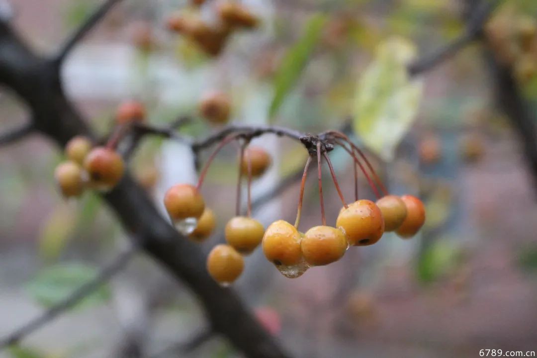 山東力明科技職業(yè)學(xué)院